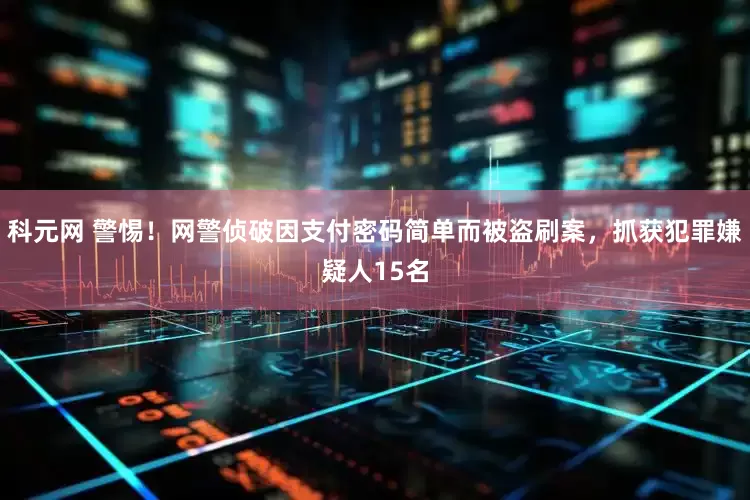 科元网 警惕！网警侦破因支付密码简单而被盗刷案，抓获犯罪嫌疑人15名