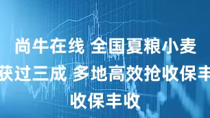 尚牛在线 全国夏粮小麦收获过三成 多地高效抢收保丰收